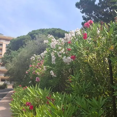 Le Parc Imperial * אז'אקסיו